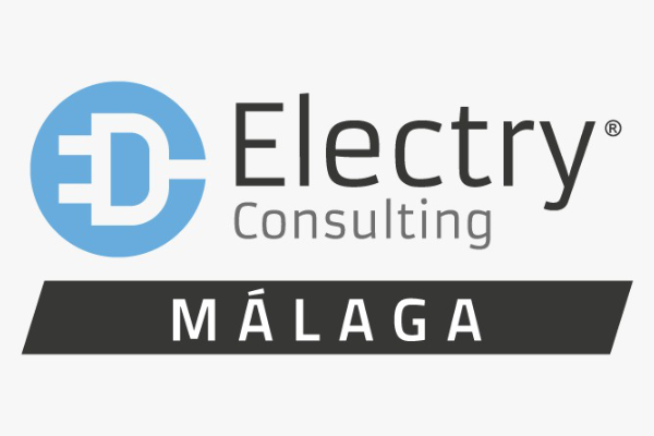 electry-consulting
